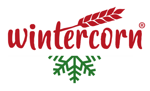 Wintercorn