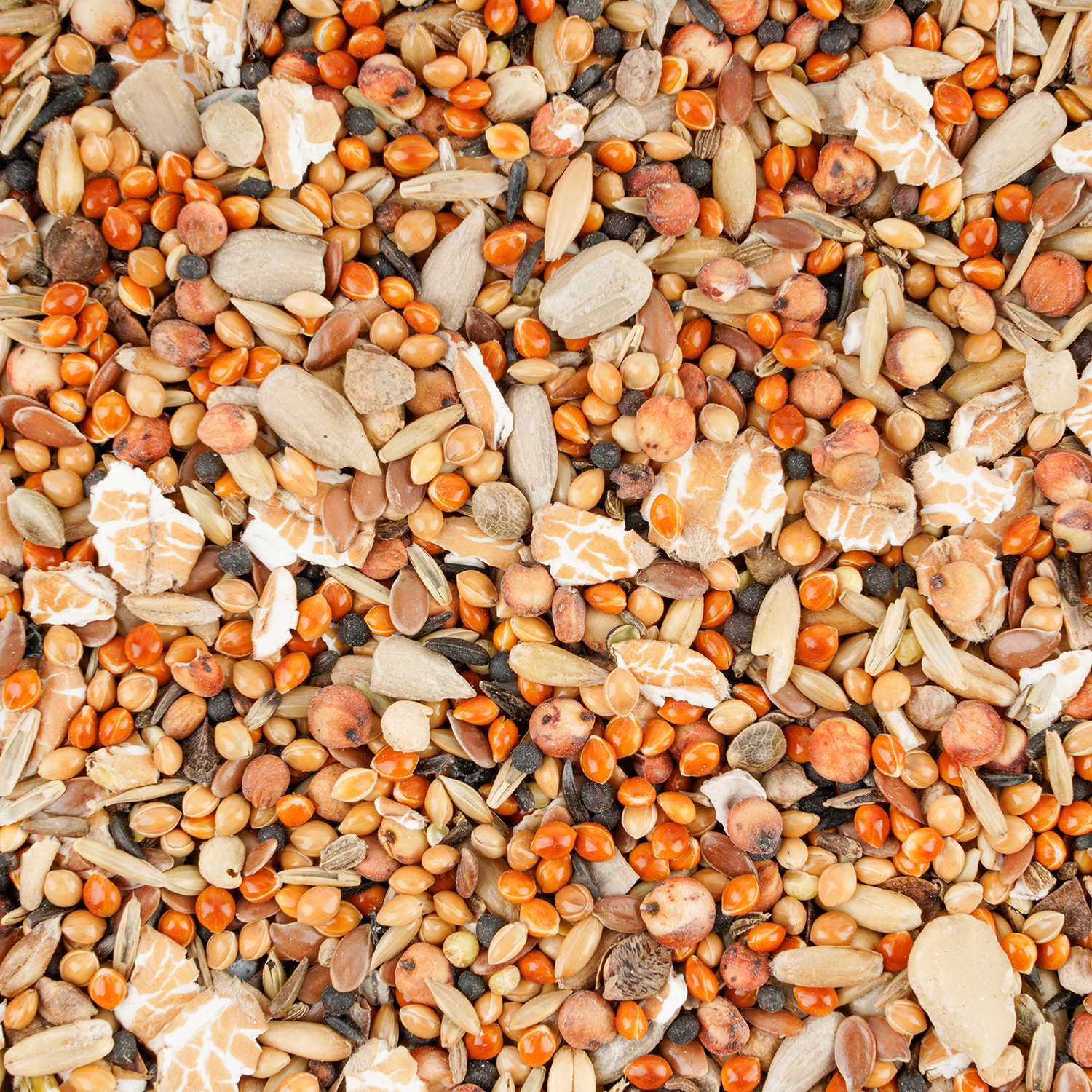 Wintercorn Wildvogelfutter