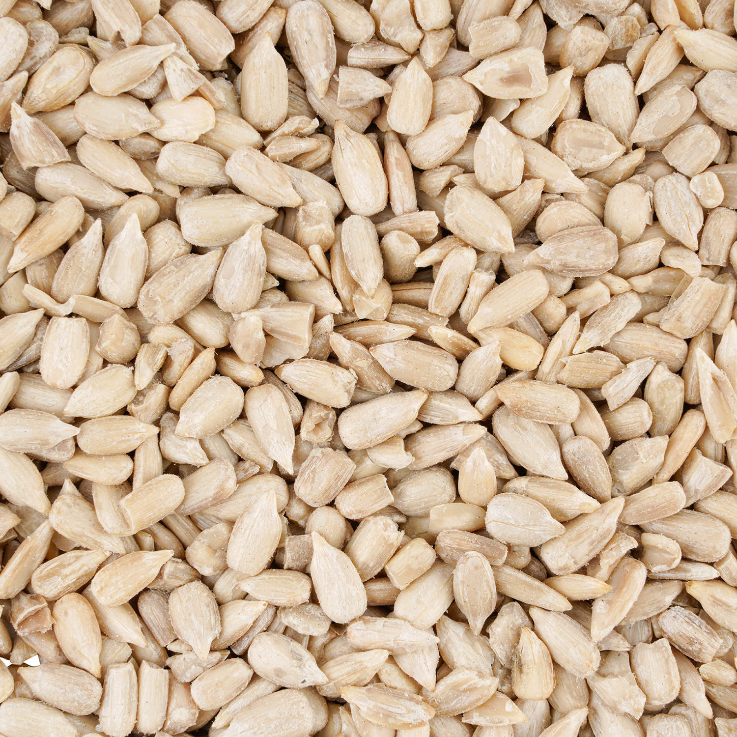 Wintercorn Sonnenblumenkerne