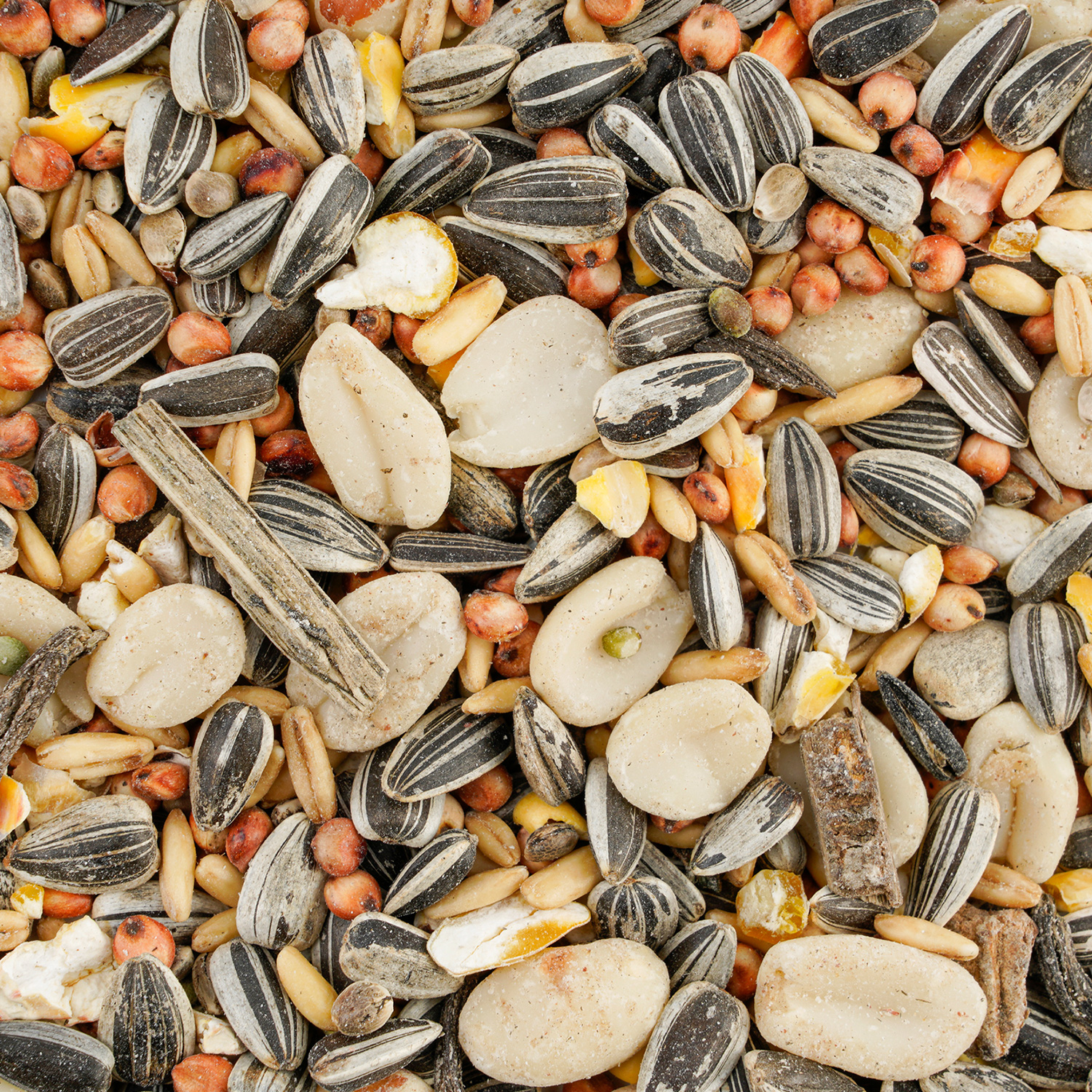 Wintercorn Wildvogelfutter