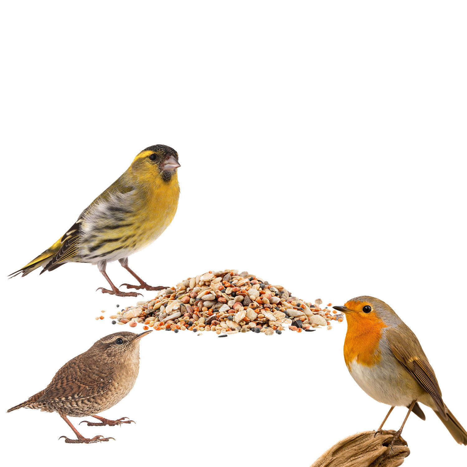 Drei Vögel und Wildvogelfutter